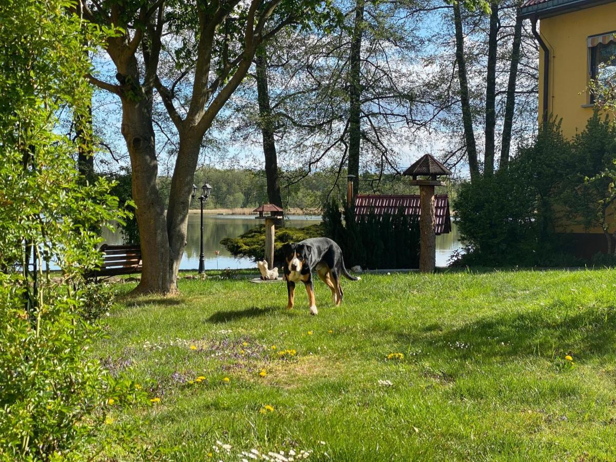 Seehof Netzen Lehnin Bagian luar foto